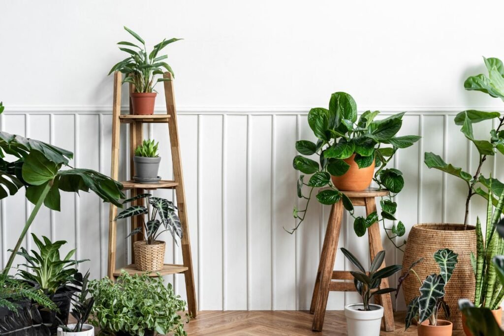 15 plantas que deixam qualquer cantinho mais bonito e aconchegante